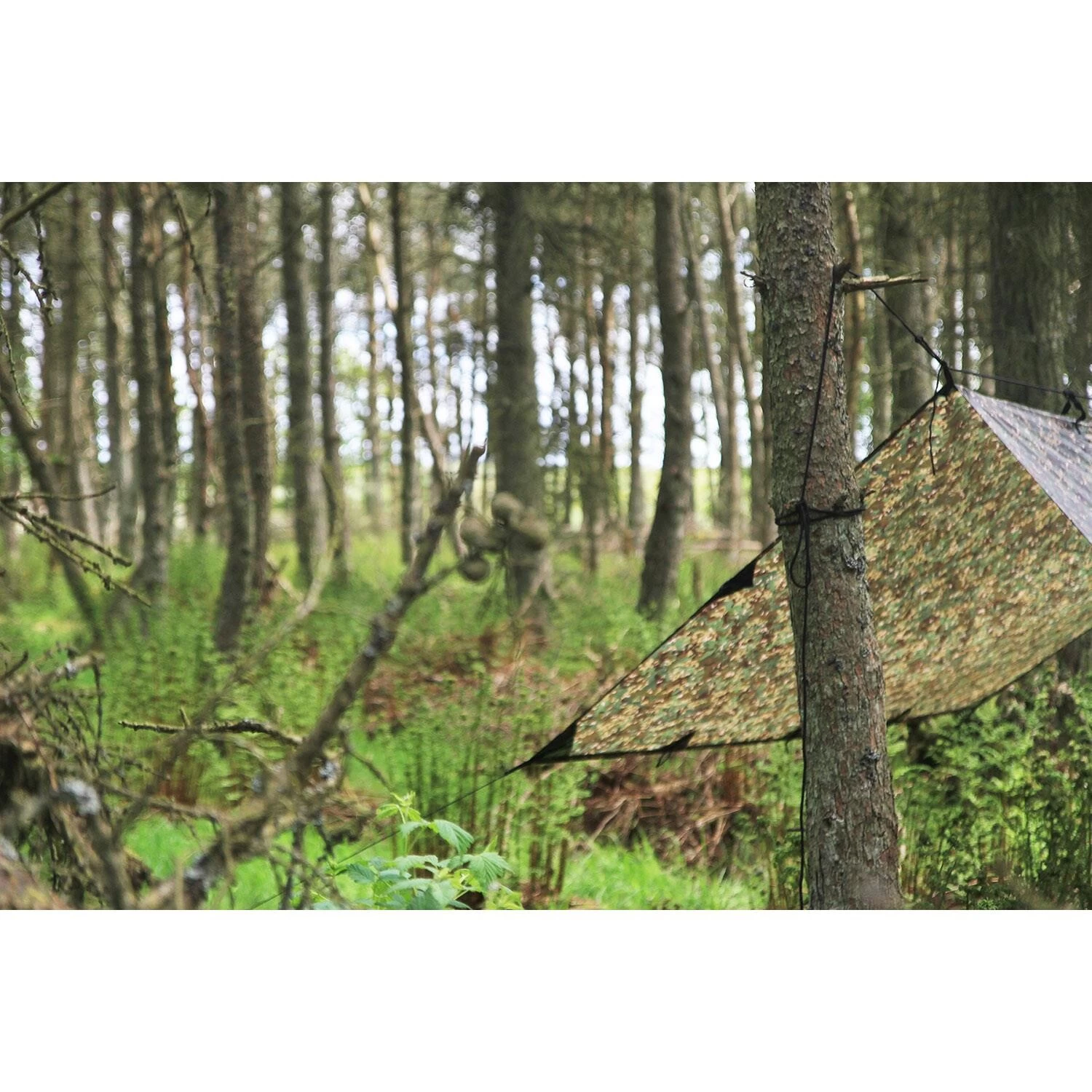 DD Hammocks DD Tarp 3 X 3 6 DD Hammocks DD Tarp 3 X 3 - Billede 4